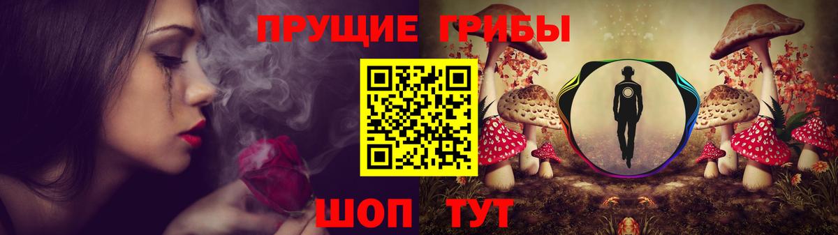 Галлюциногенные грибы Cubensis Новый Уренгой