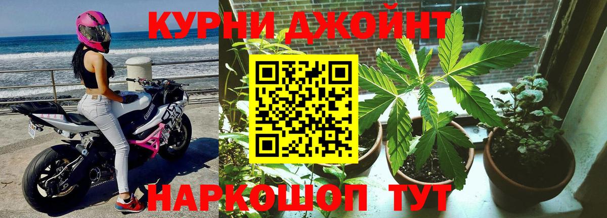 Марихуана MAZAR  Вход с VPN  Канабис план  Конопля THC 21%  Шишки марихуана семена  Новый Уренгой 